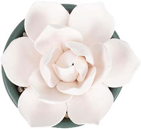 Demdaco Inhale Hope Exhale Worries Succulent Oil Diffuser