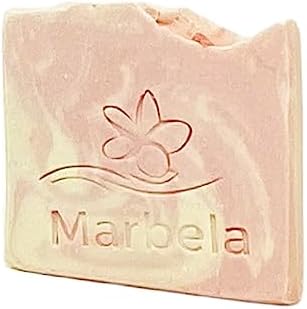 Bath Body Works Cranberry Gala-Apple 2 Pack Wallflowers with Sample Soap