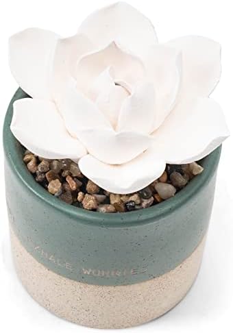 Demdaco Inhale Hope Exhale Worries Succulent Oil Diffuser