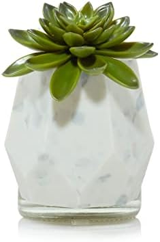 Yankee Candle Faceted Succulent ScentPlug Diffuser 1