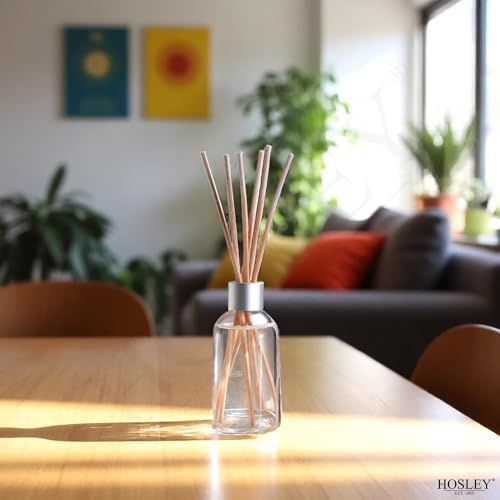 Hosley Cinnamon Roll Diffuser Refill Set of 2