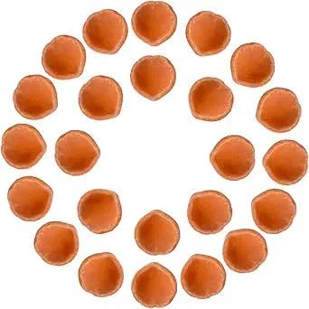 Craftsman Set of 24 Terracotta Clay Diyas