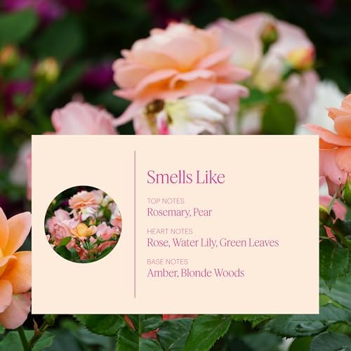 Aera Flower Shop Deodorizing Home Fragrance Scent Refill 25mL