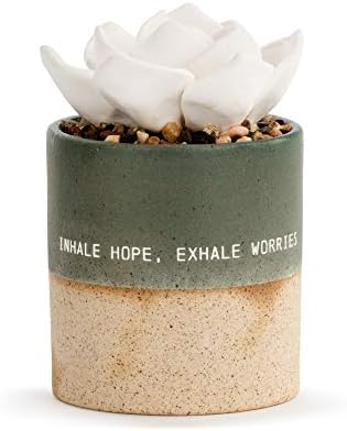 Demdaco Inhale Hope Exhale Worries Succulent Oil Diffuser