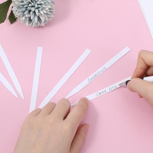 1000 Piece Perfume Test Strips White Blotter for Fragrances and Essential Oils