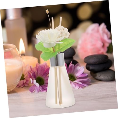 3pcs Dried Flower Glass Diffuser for Home Office Decor