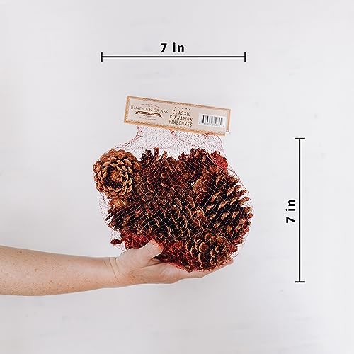 Cinnamon Scented Pinecone Bags 2 Pack