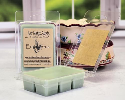 2 Pack Eucalyptus Soy Wax Melts Long Lasting Fragrance Cubes