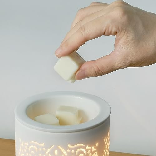 Earnest Living Summer Daydream Scented Wax Melts 2 Pack