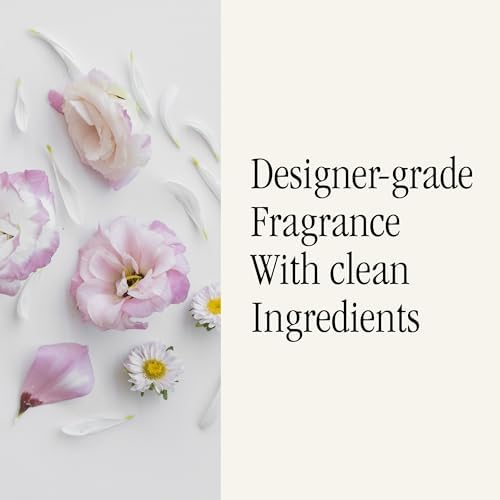 Pura Aromatique Home Scent Refill - 2 Pack Sparkling Currant