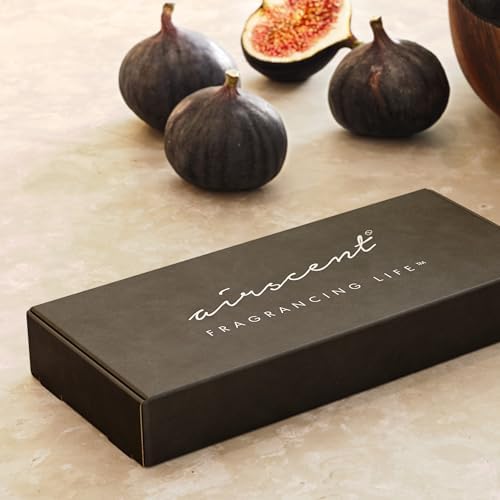 AirScent Hotel Diffuser Oil Gift Set - Casino Royale Inspired