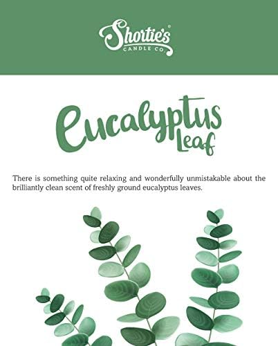 Eucalyptus Leaf Wax Melts 6 Oz Total - Made With Essential Oils