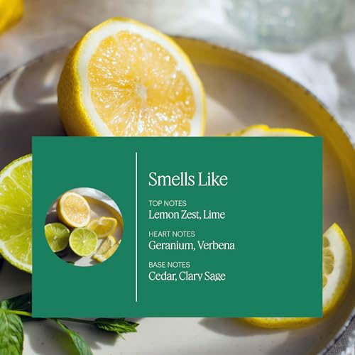 Aera Mini Home Hygiene Citrus Sage Fragrance