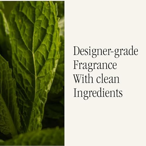 Pura Allos Mint Leaves Focus Fragrance Refill 2 Pack