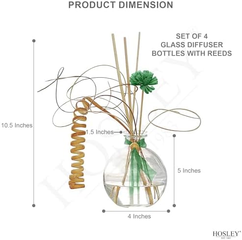 Hosley 4-Piece Glass Diffuser Set with Reeds