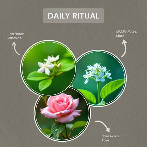 CAROLINA Daily Ritual Scented Wax Melts 4 Pack