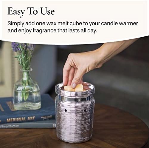 Citrus Grove Scented Candle Warmers 25oz 4-Pack