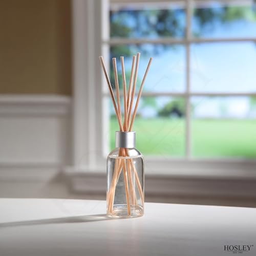 Hosley Cinnamon Roll Diffuser Refill Set of 2