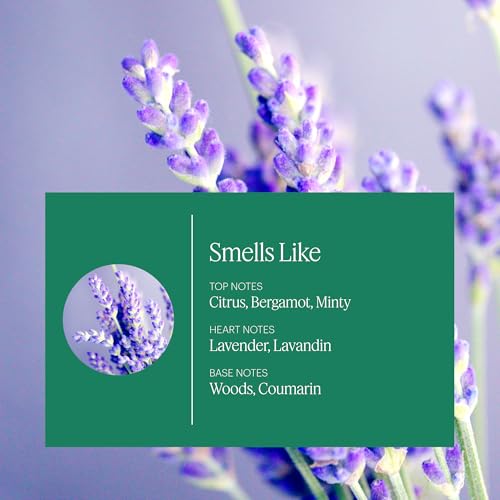 Aera Mini Lavender Bergamot Essential Oil Scent Refill