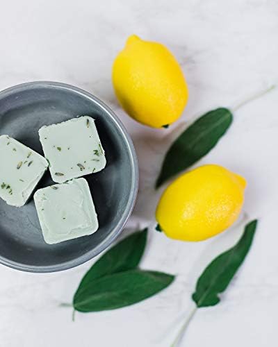 Swan Creek Citrus Sage Drizzle Melts 4-Pack