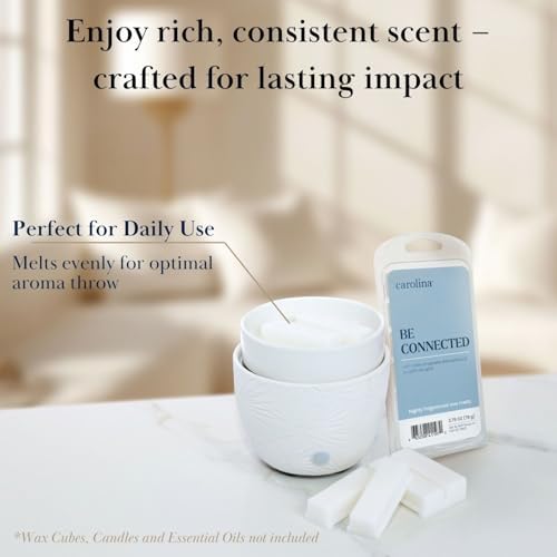 CAROLINA 3-in-1 Electric Wax Melter with Ceramic Dish