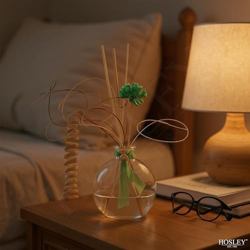 Hosley 4-Piece Glass Diffuser Set with Reeds