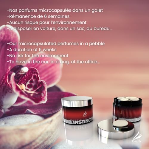 Camylle Les Galets - Perfumed Stones for Aromatherapy