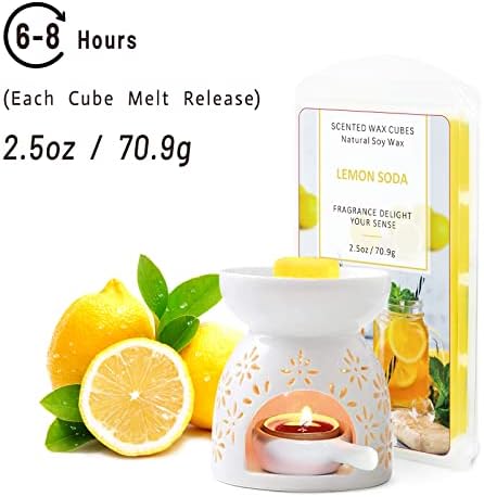SCENTORINI Wax Melts 8 Flavors 25 OZ Set