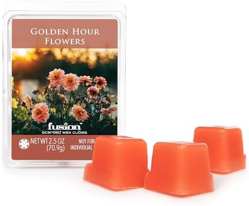 FUSION BY SCENTSATIONALS Adair Wax Melt Warmer Starter Kit