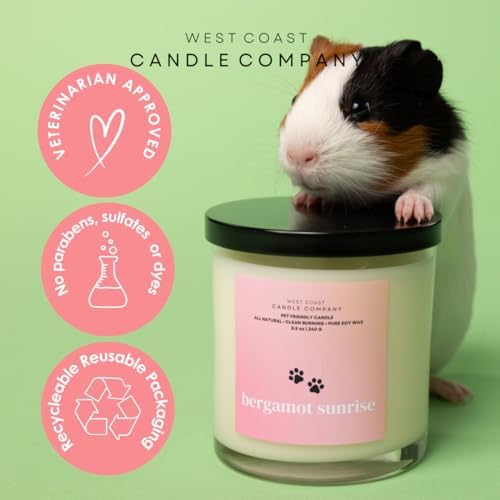 Linen Breeze Pet Safe Soy Wax Melts