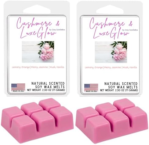 Cozy Candlebox Soy Wax Melts 2 Pack 5 Oz 1