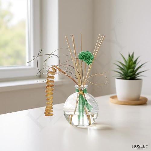 Hosley 4-Piece Glass Diffuser Set with Reeds