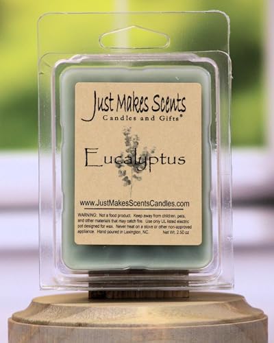 2 Pack Eucalyptus Soy Wax Melts Long Lasting Fragrance Cubes