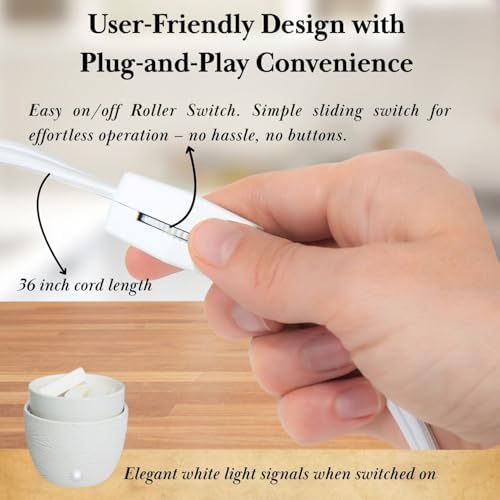 CAROLINA 3-in-1 Electric Wax Melter with Ceramic Dish