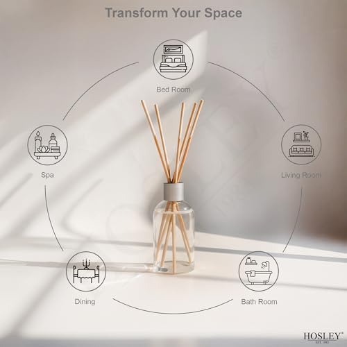 Hosley Cinnamon Roll Diffuser Refill Set of 2