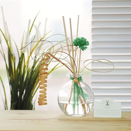 Hosley 4-Piece Glass Diffuser Set with Reeds