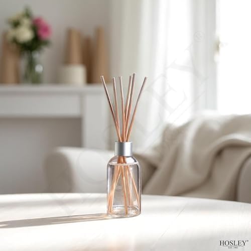 Hosley Cinnamon Roll Diffuser Refill Set of 2