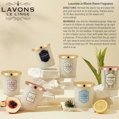 LAVONS Room Home Fragrance Air Freshener 53 Oz Shiny Moon Musk Bamboo Leaves