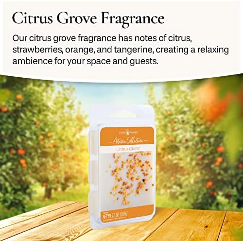 Citrus Grove Scented Candle Warmers 25oz 4-Pack
