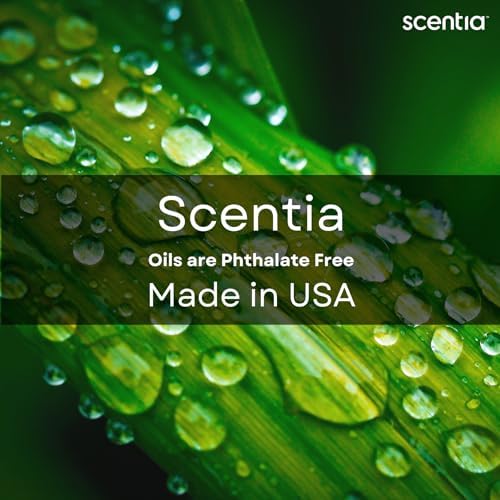Mystical Hotel Diffuser Oil - 50mL by Scentia