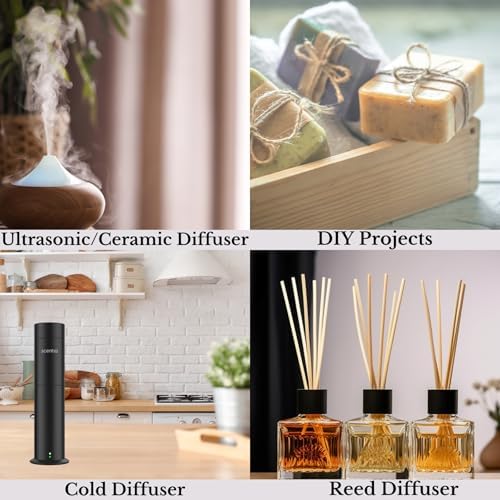 Mystical Hotel Diffuser Oil - 50mL by Scentia