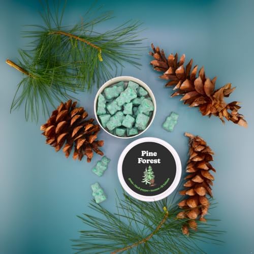 Happy Wax Pine Forest Scented Bear Wax Melts 4 oz Tin