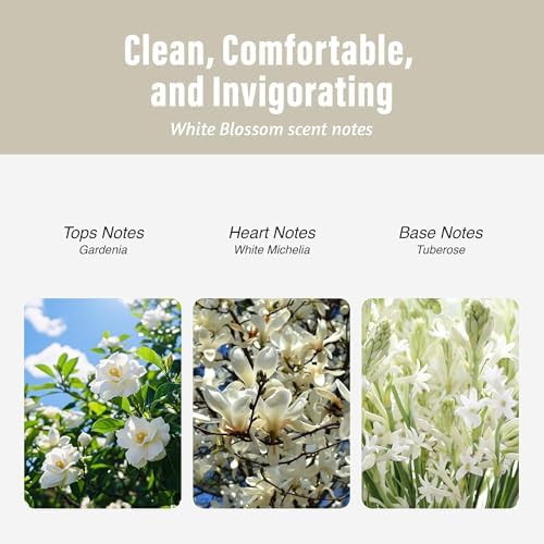 CARORI Succulent Cactus Air Freshener Natural Essential Oil Fragrance 100 Day Long-Lasting