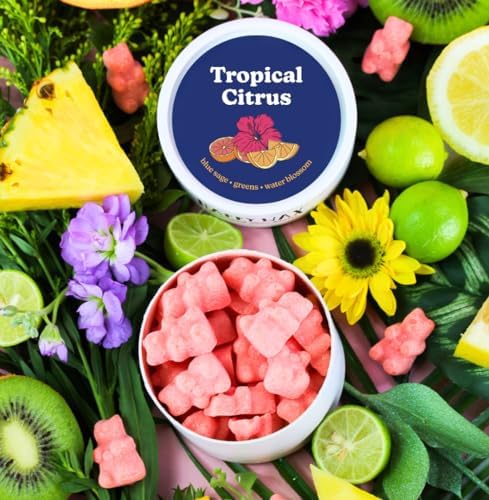 Happy Wax Tropical Citrus Scented Bear Wax Melts