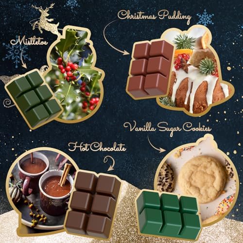 SoulOrigin Christmas Soy Wax Melts 8x25oz Set