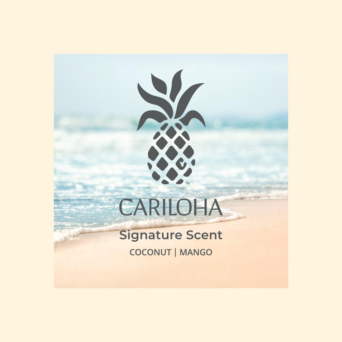 Aera Cariloha Signature Scent Refill - Mango Coconut