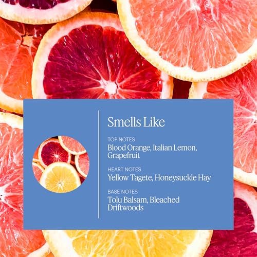 Aera Mini Destinations Amalfi Coast Essential Oil