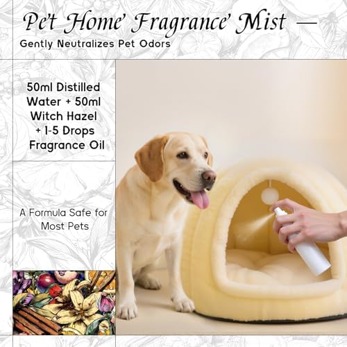 HIQILI Tidal Sonata Fragrance Oil 1 Fl Oz