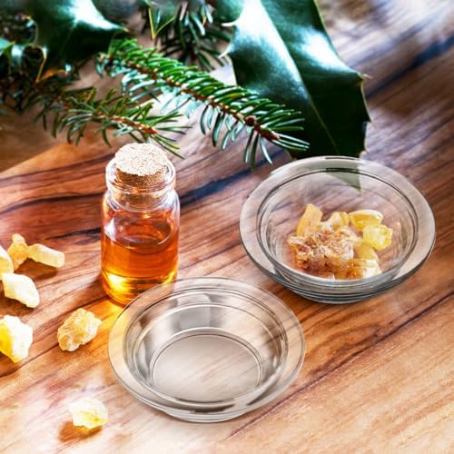 Gatuida 2pcs Glass Fragrant Oil Warmer