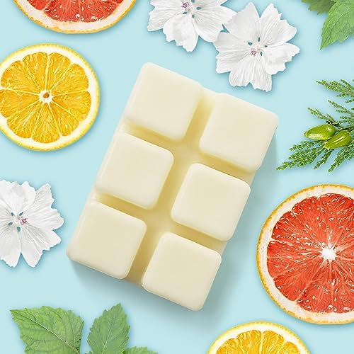 Earnest Living Summer Daydream Scented Wax Melts 2 Pack
